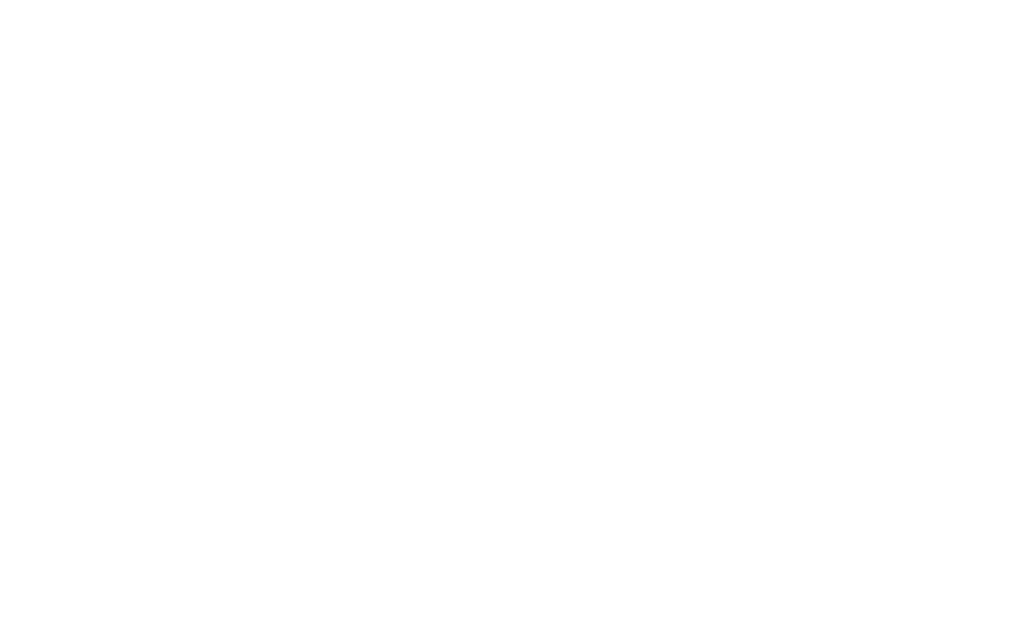 ardex logo hvit